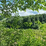 Weingut Assigal ファームステイ *