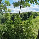 ファームステイ Weingut Assigal *