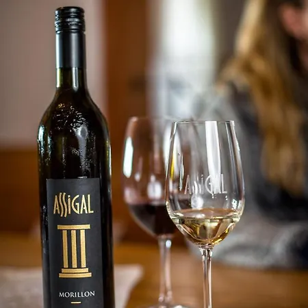 Çiftlik konaklama Weingut Assigal *