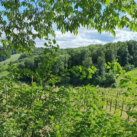 Weingut Assigal Farm stay *