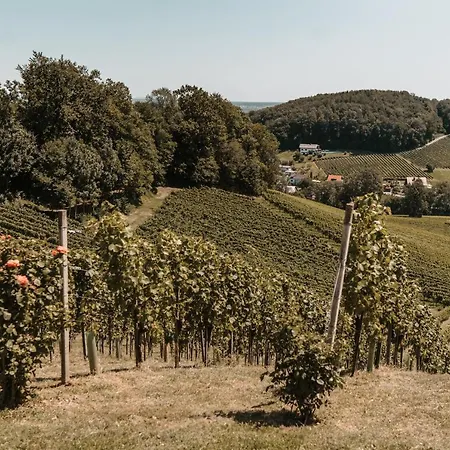 Çiftlik konaklama Weingut Assigal