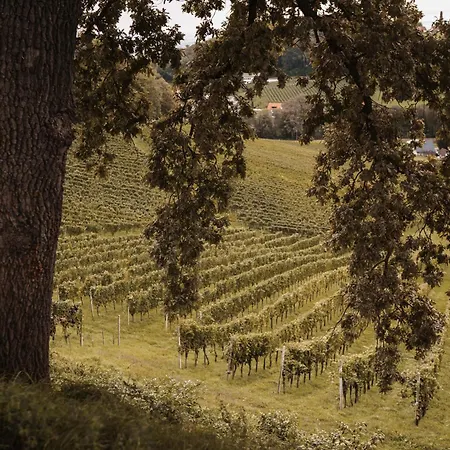 Weingut Assigal 农家乐 *