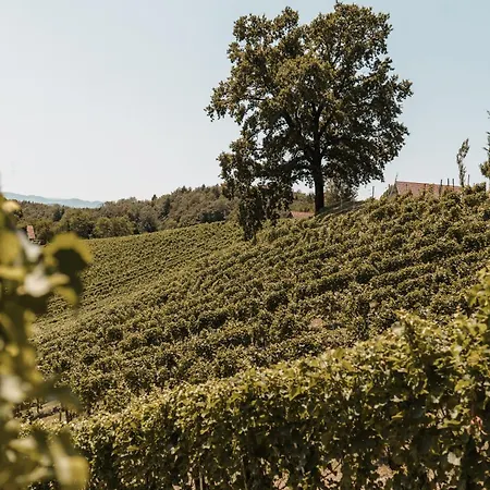 Weingut Assigal Çiftlik konaklama