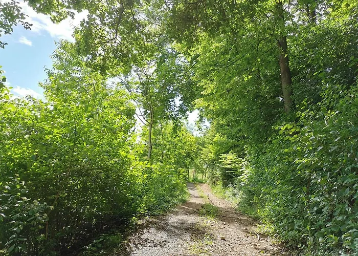 Alloggio per agriturismo Weingut Assigal *