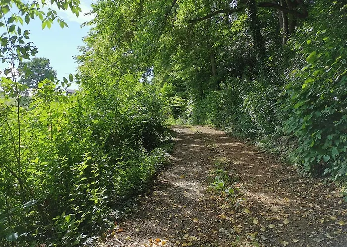 مزرعة للإقامة Weingut Assigal