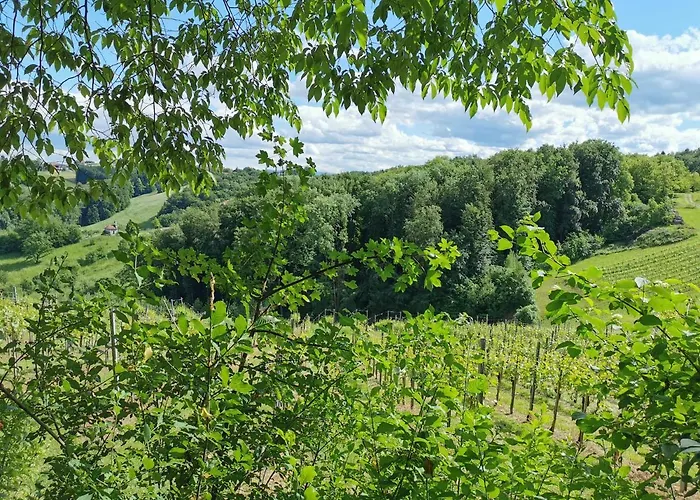 Weingut Assigal مزرعة للإقامة *