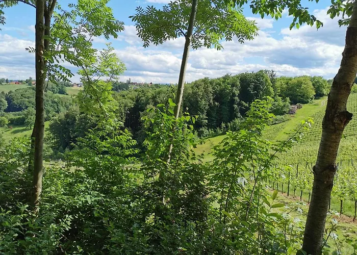 Farm stay Weingut Assigal *