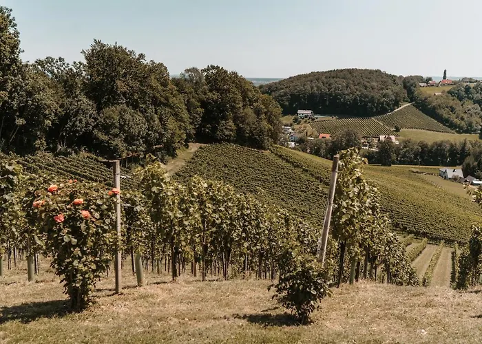 مزرعة للإقامة Weingut Assigal