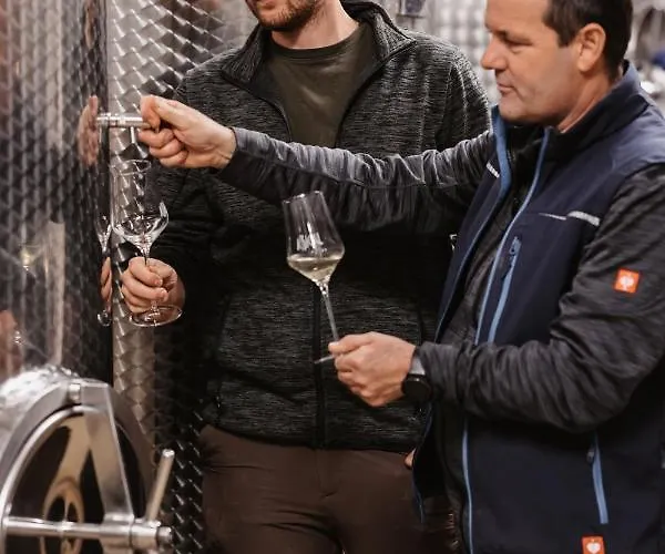 Weingut Assigal Alloggio per agriturismo