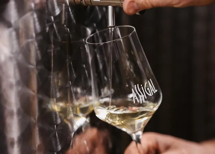 Weingut Assigal Leibnitz