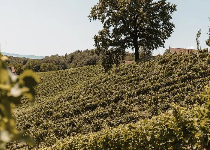 Weingut Assigal Alloggio per agriturismo